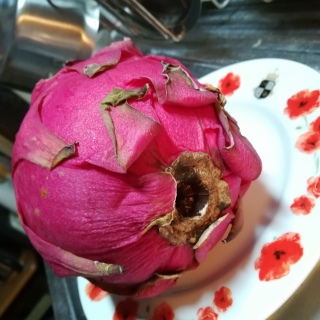 �h���S���t���[�c����