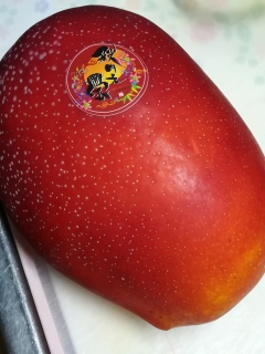 �}���S�[����