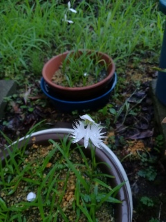 �T�M�\�E�炢����